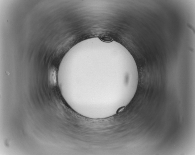 X0000099550042200805301529