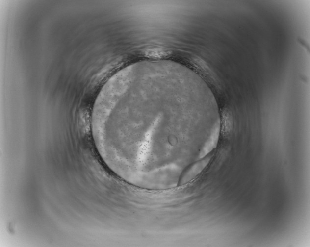 X0000099550043200805301529