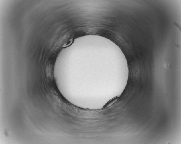 X0000099550044200805301529