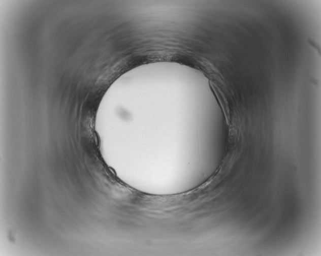 X0000099550045200805301529