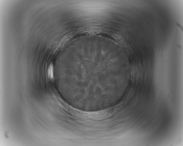 X0000099550046200805301529