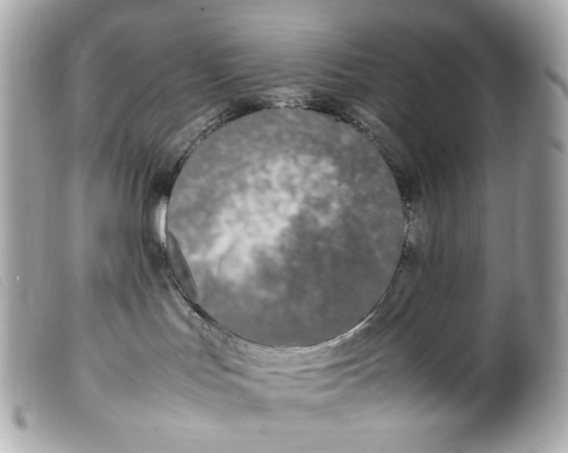 X0000099550047200805301529