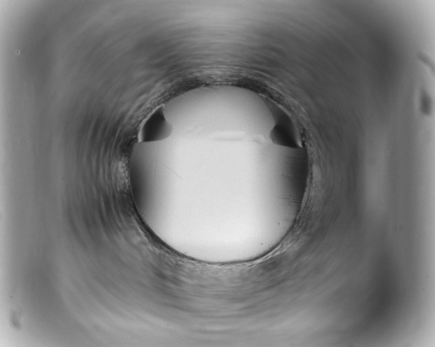 X0000099550048200805301529