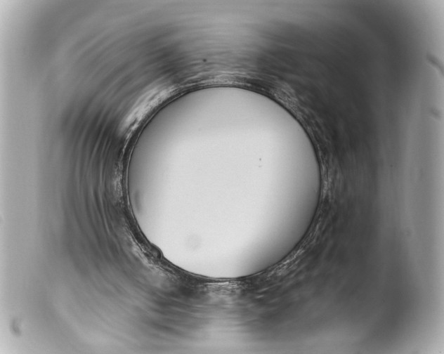 X0000099550050200805301529