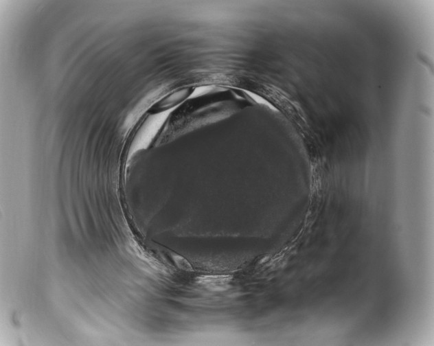 X0000099550051200805301529