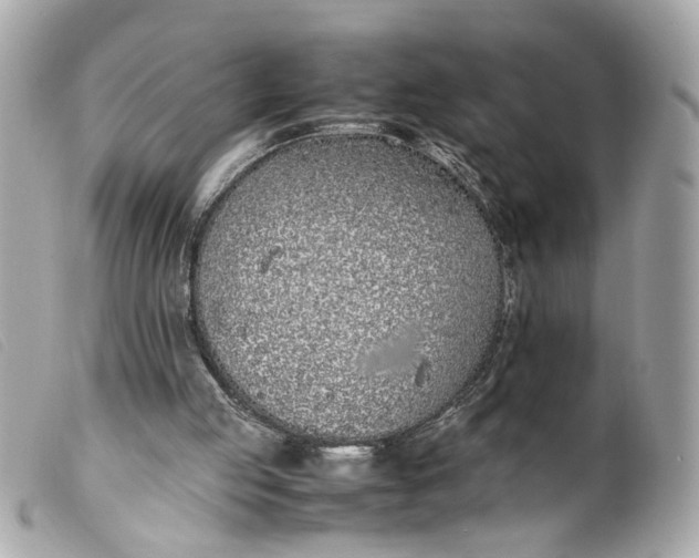 X0000099550053200805301529