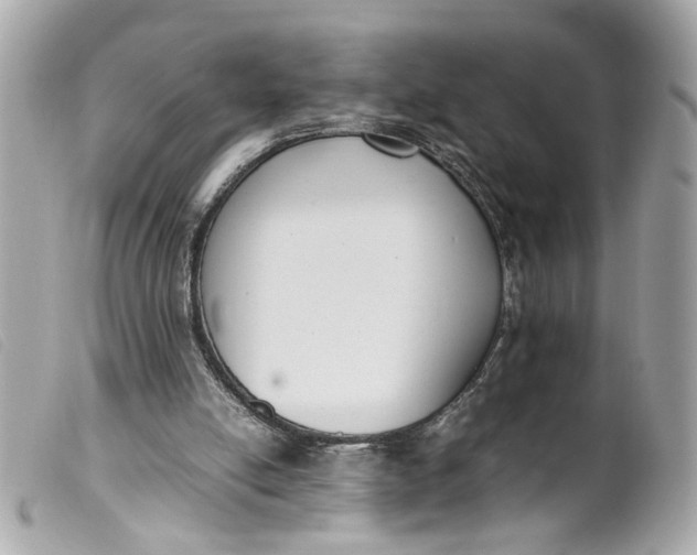 X0000099550054200805301529