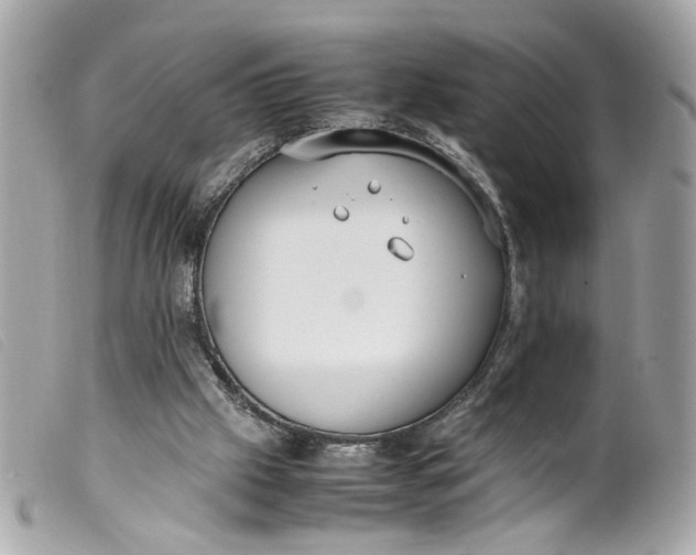 X0000099550057200805301529