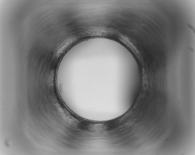 X0000099550058200805301529