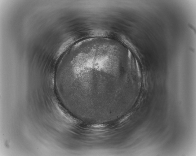 X0000099550059200805301529