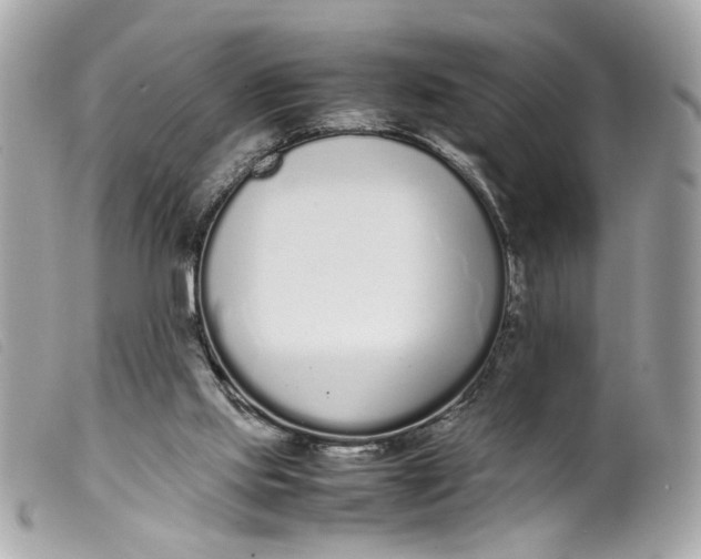 X0000099550061200805301529