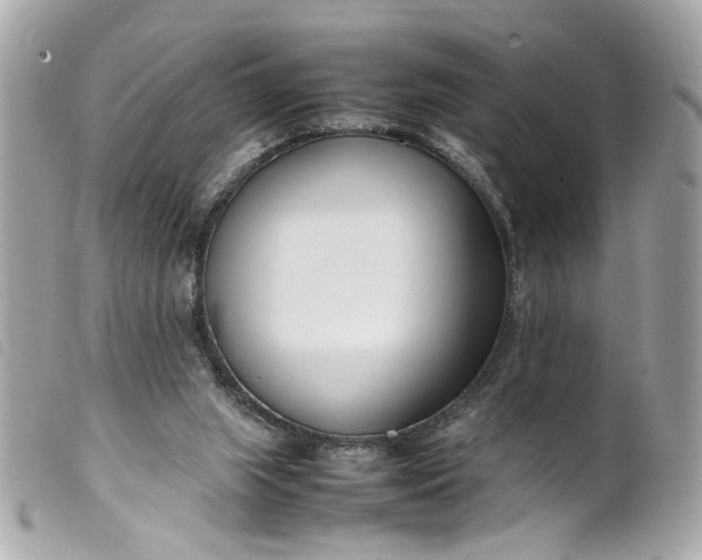 X0000099550063200805301529