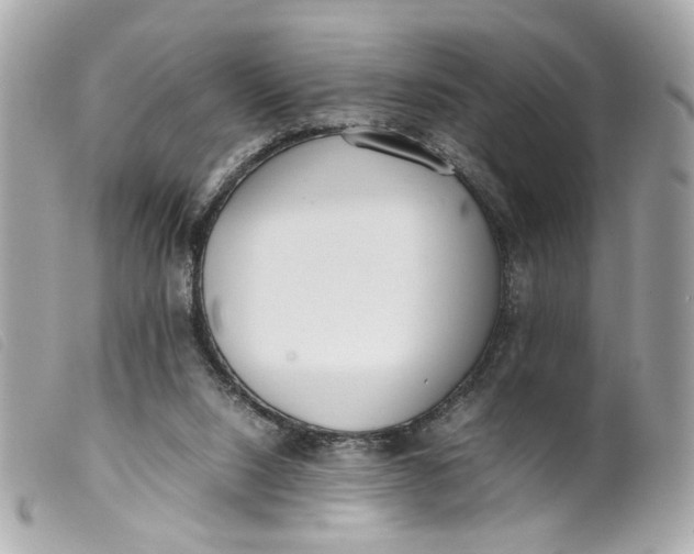 X0000099550064200805301529