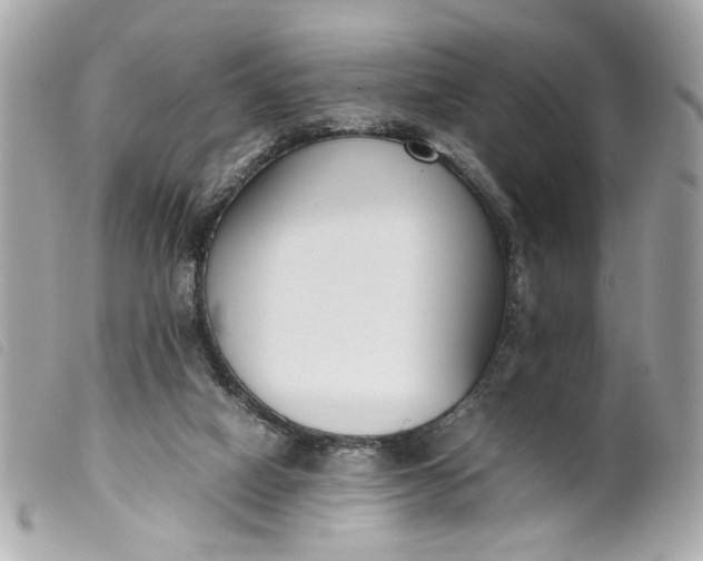 X0000099550066200805301529