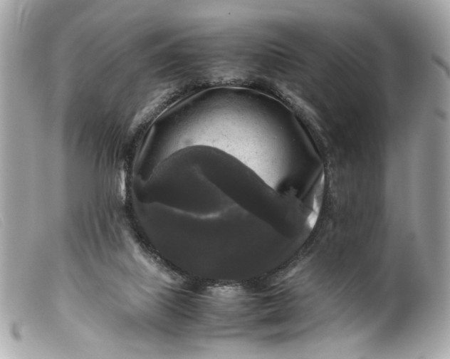 X0000099550067200805301529