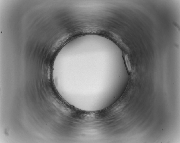 X0000099550068200805301529