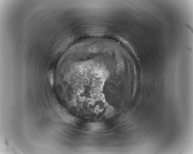 X0000099550069200805301529