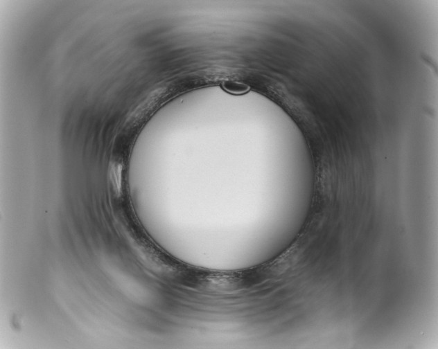 X0000099550070200805301529