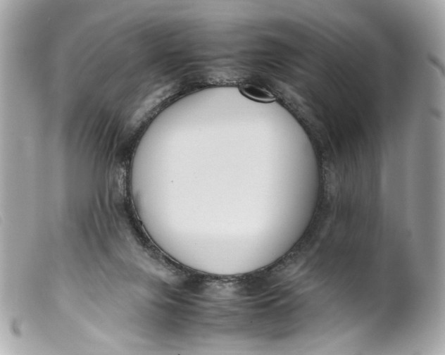 X0000099550071200805301529