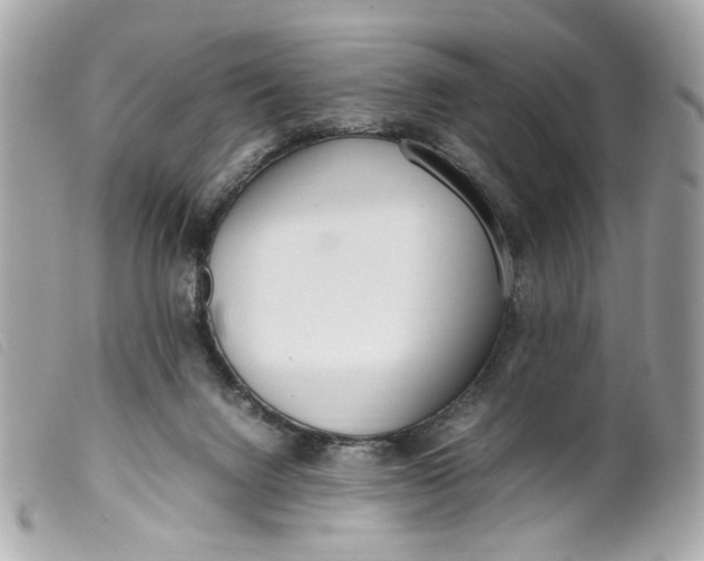 X0000099550072200805301529