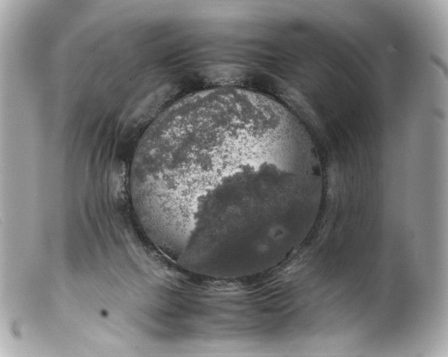 X0000099550073200805301529