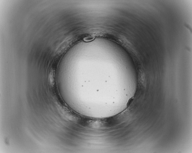 X0000099550074200805301529