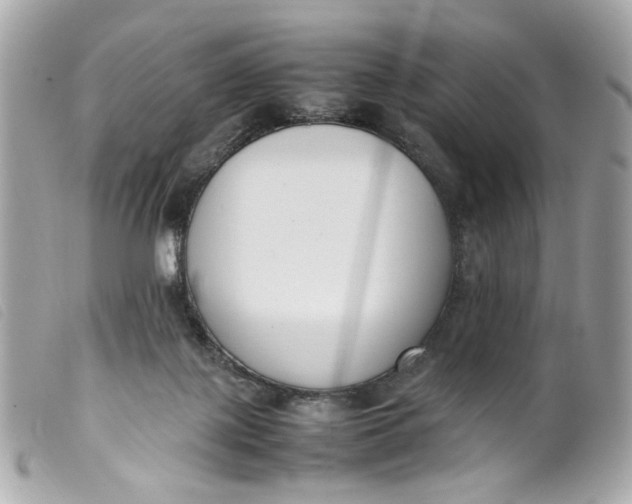 X0000099550075200805301529