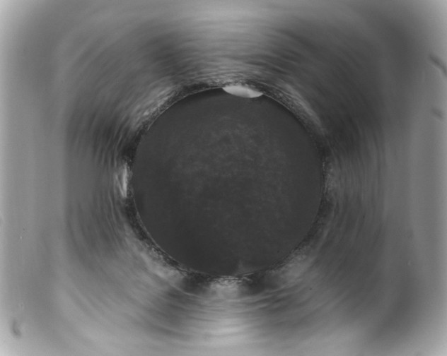 X0000099550076200805301529