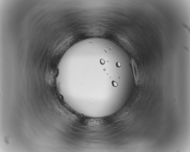 X0000099550077200805301529