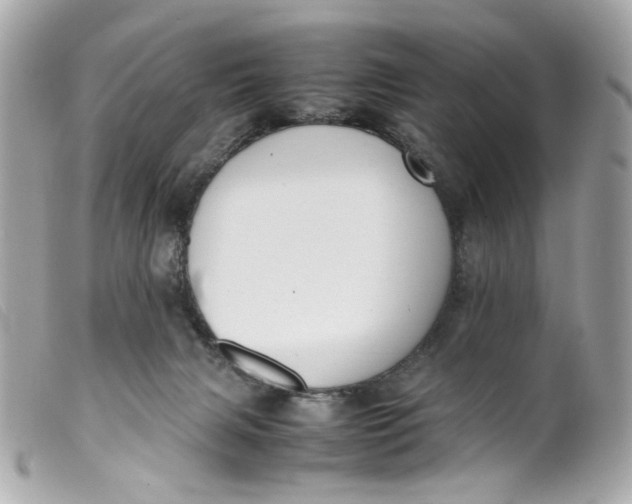 X0000099550079200805301529