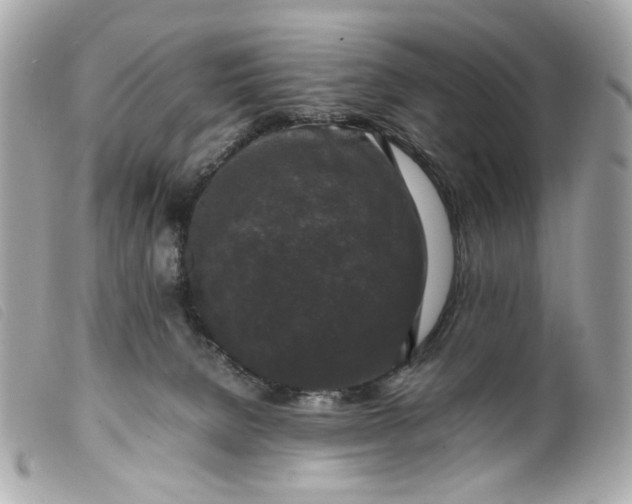 X0000099550080200805301529