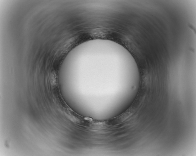 X0000099550081200805301529