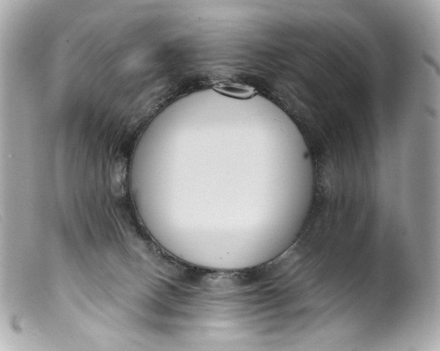 X0000099550082200805301529