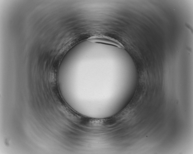 X0000099550084200805301529