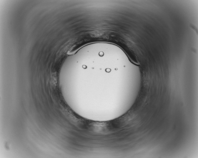 X0000099550085200805301529