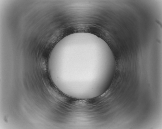 X0000099550086200805301529