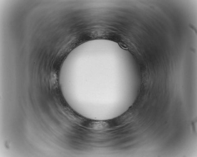 X0000099550087200805301529