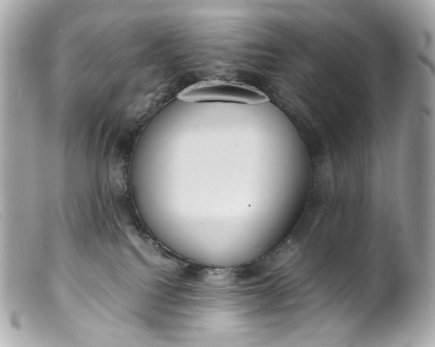 X0000099550088200805301529