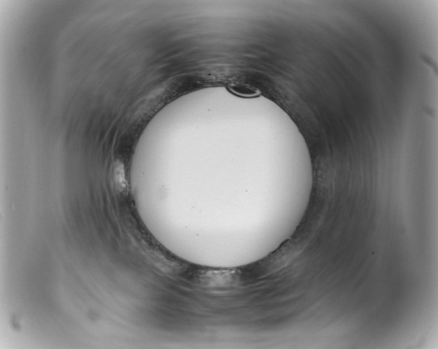 X0000099550089200805301529