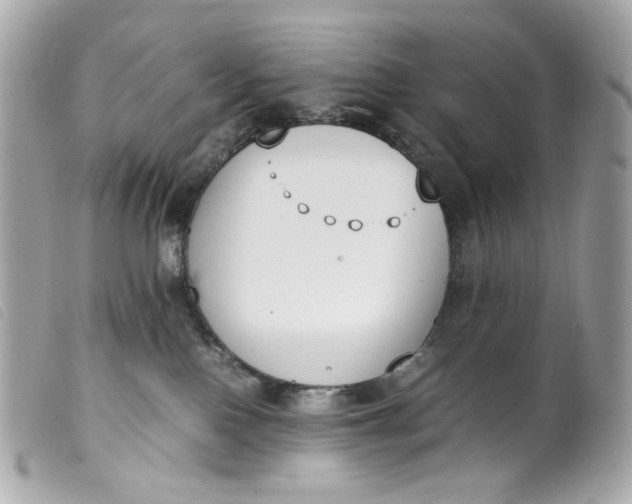 X0000099550090200805301529