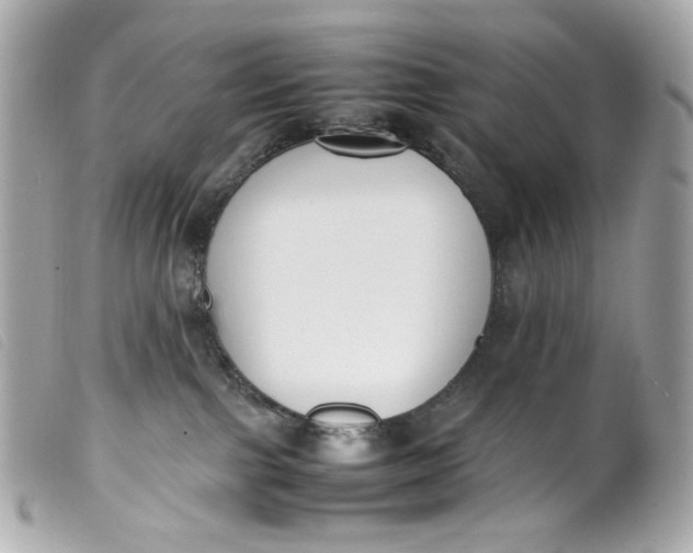 X0000099550091200805301529