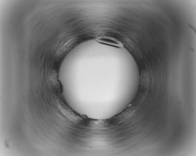 X0000099550092200805301529