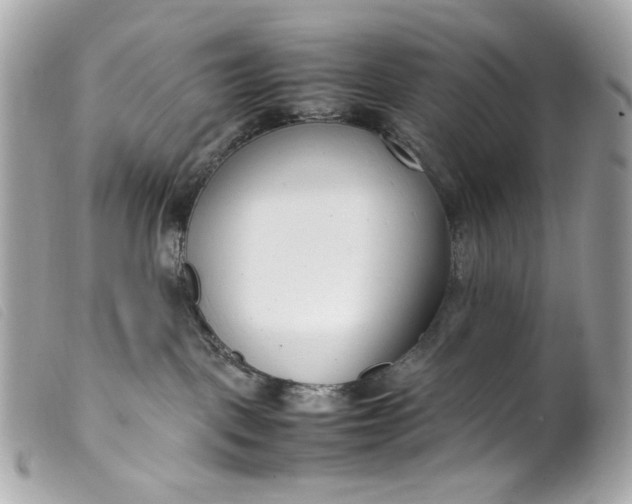 X0000099550093200805301529