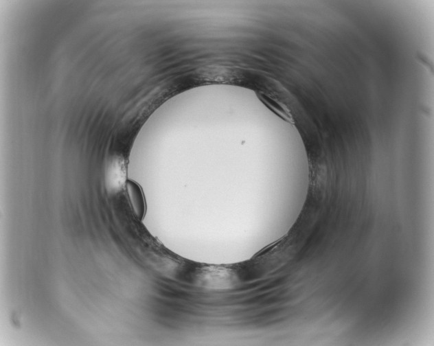 X0000099550095200805301529