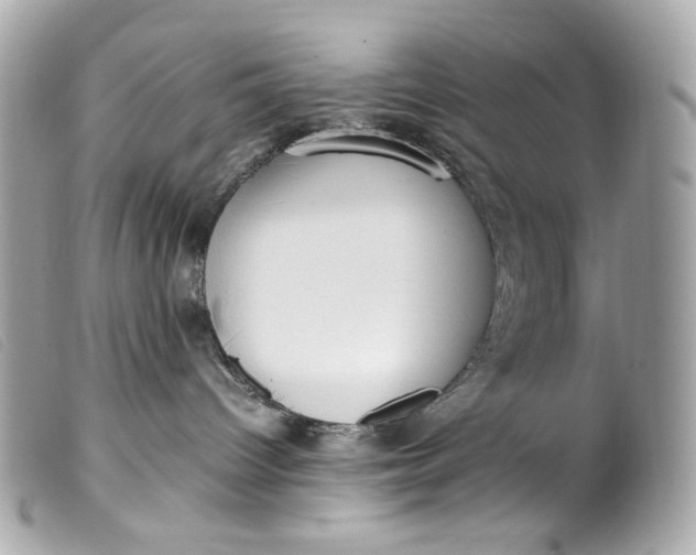 X0000099550096200805301529