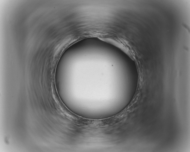 X0000099550097200805301529