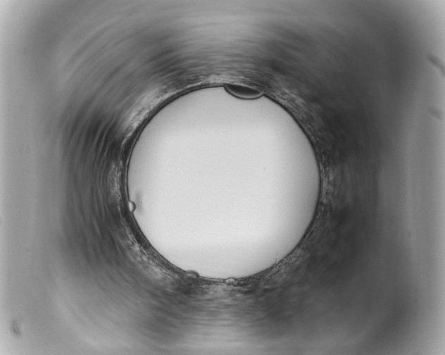 X0000099550098200805301529