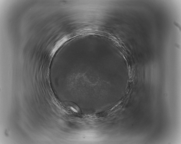 X0000099550099200805301529