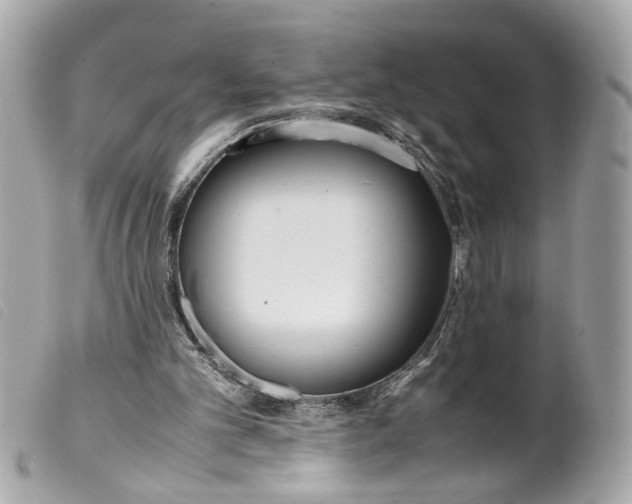 X0000099550101200805301529