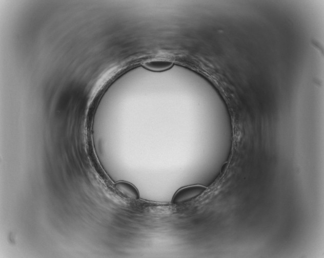 X0000099550102200805301529